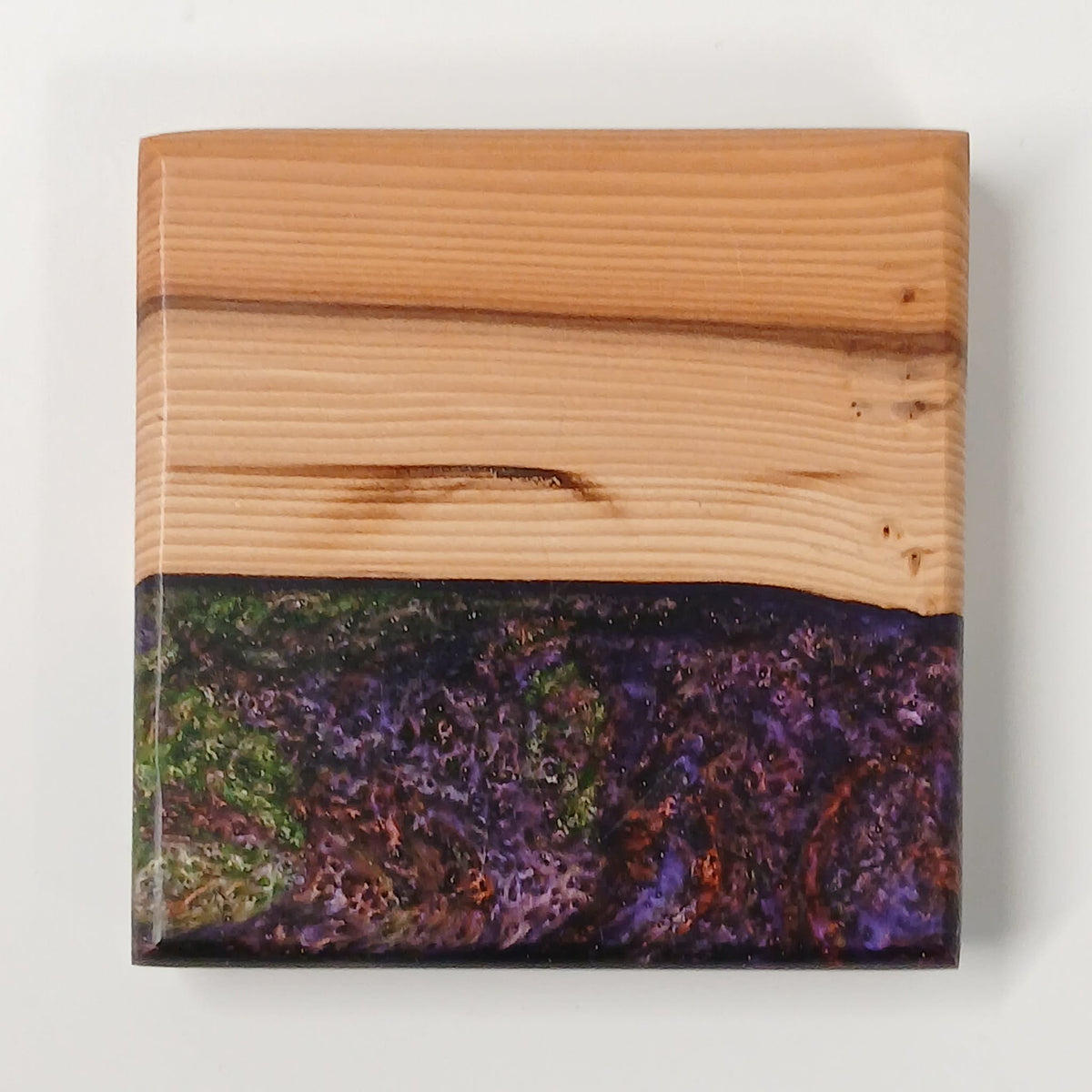 Yew Wood and Resin Coaster - Forest Resin Studio