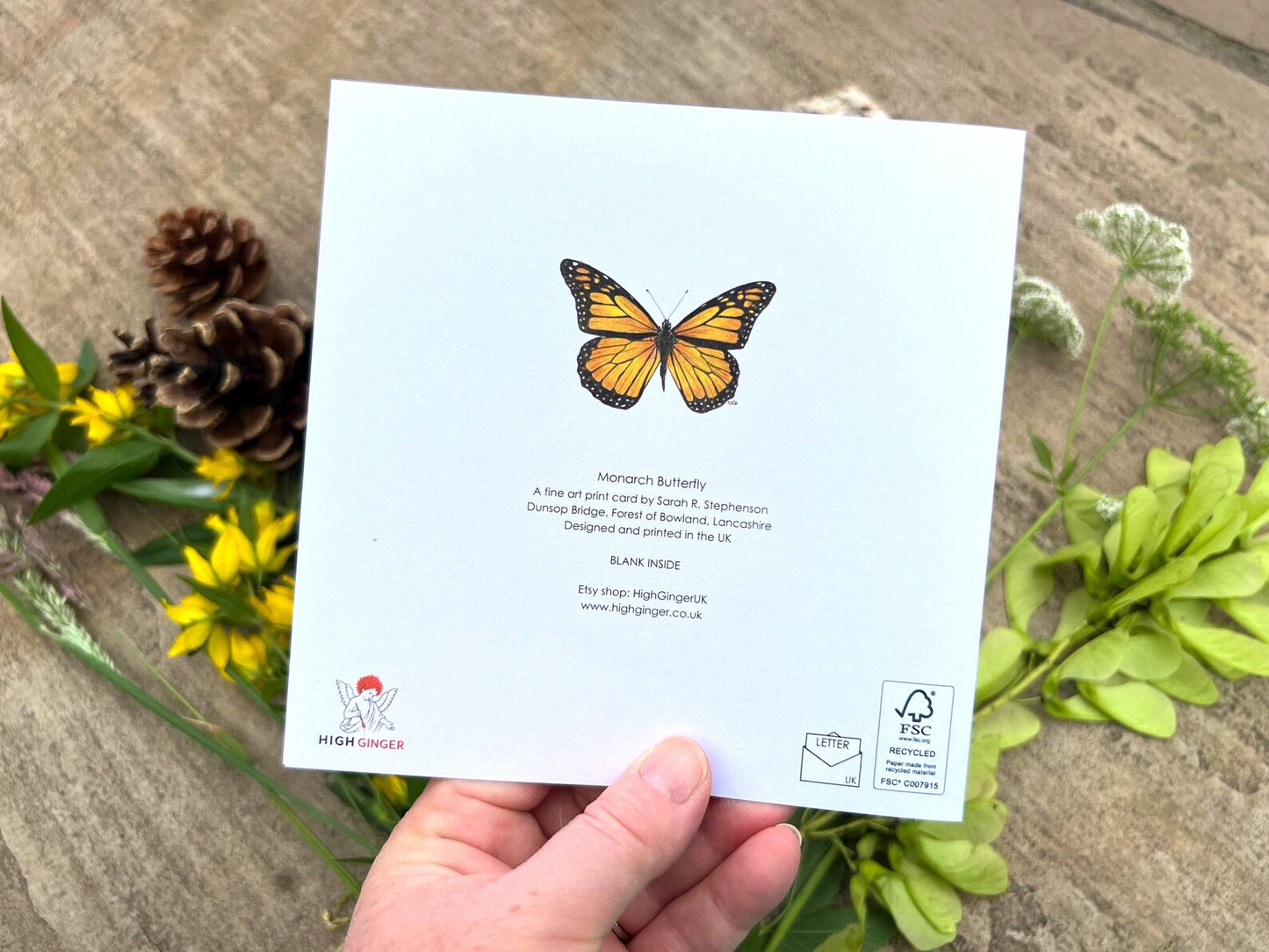 Butterfly Greeting Card - High Ginger