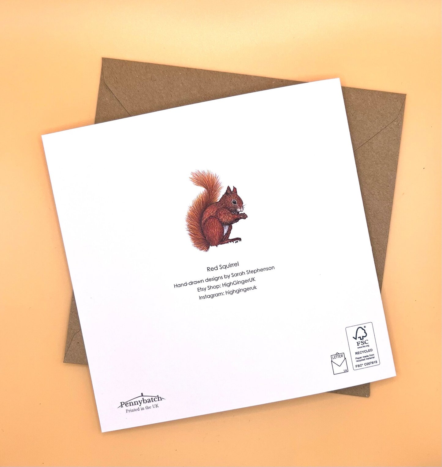 Red Squirrel Greeting Card - High Ginger