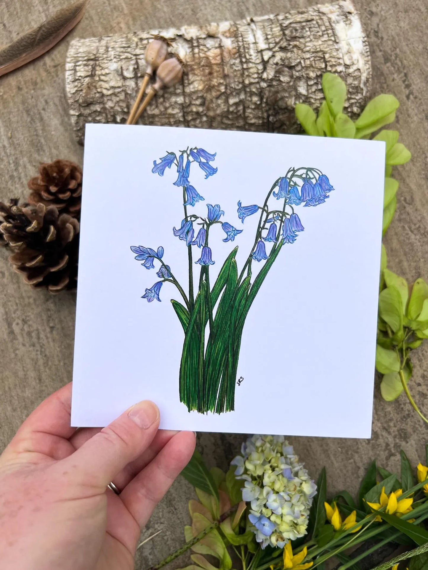 Bluebell Greeting Card - High Ginger