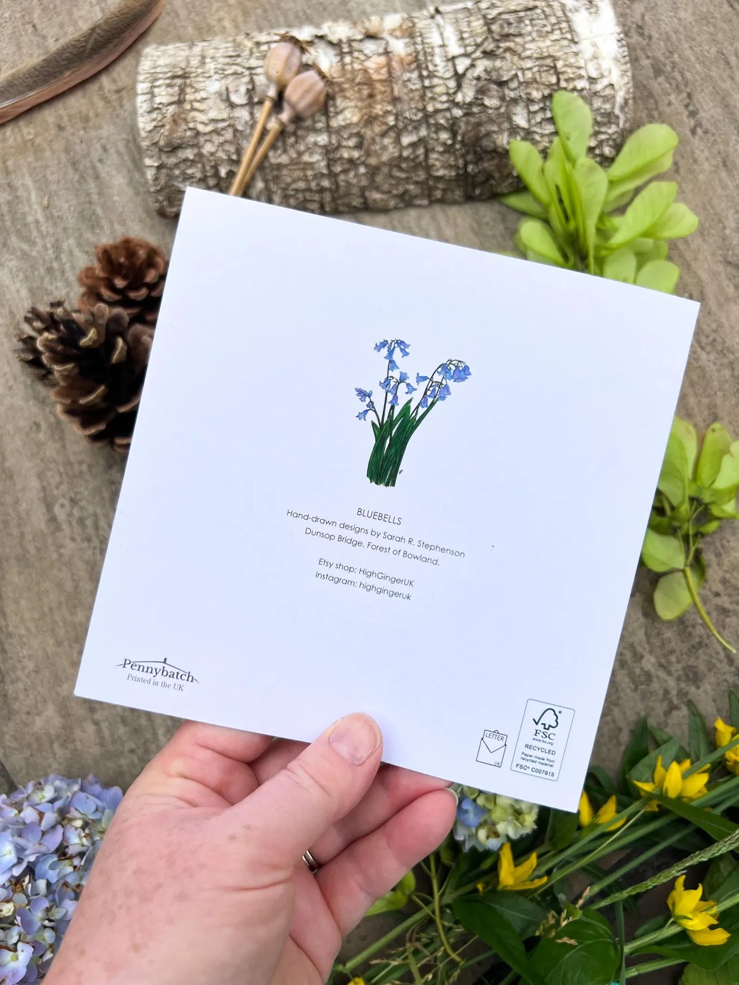 Bluebell Greeting Card - High Ginger