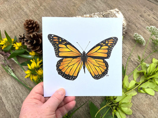 Butterfly Greeting Card - High Ginger