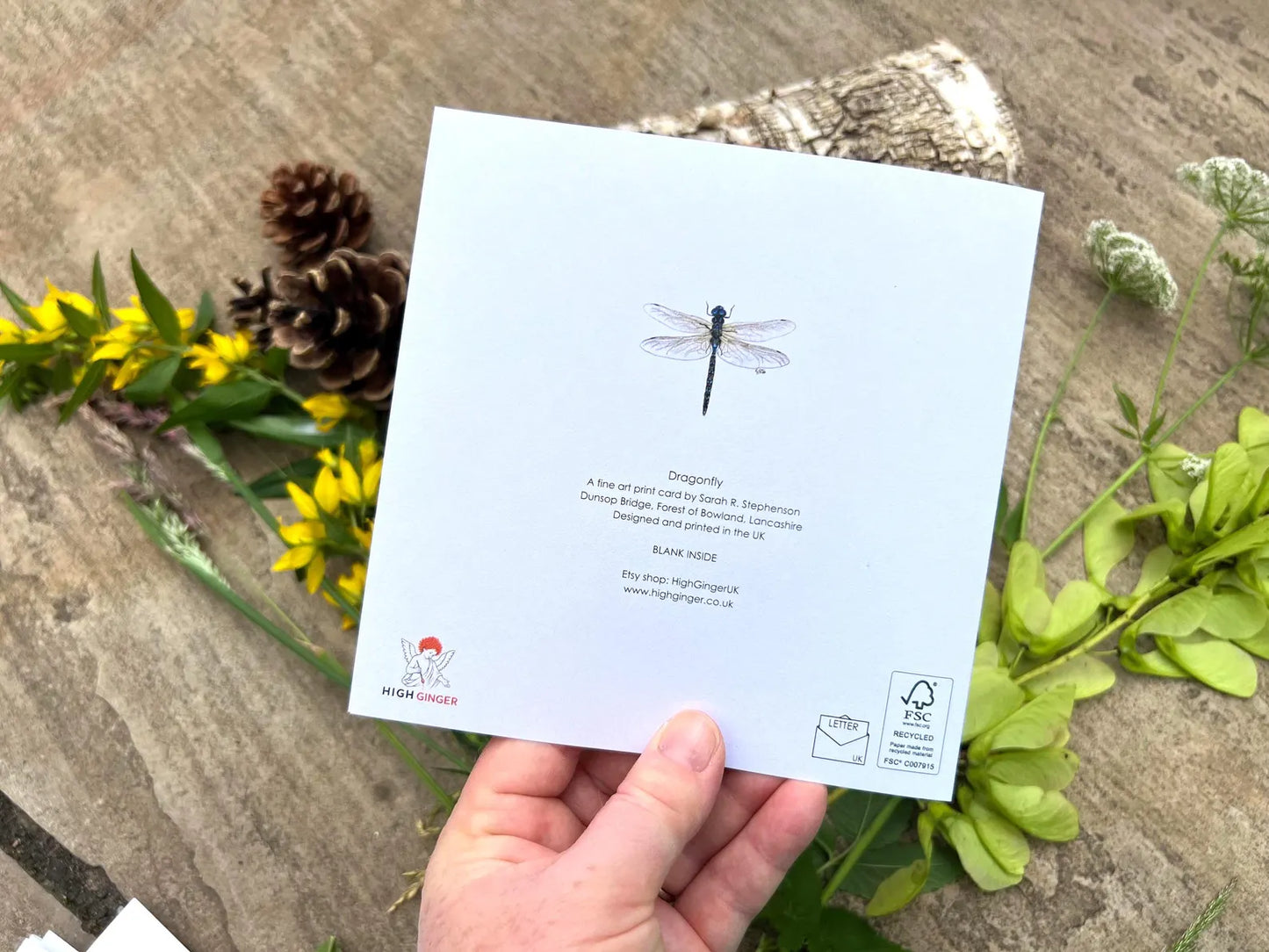 Dragon Fly Greeting Card - High Ginger