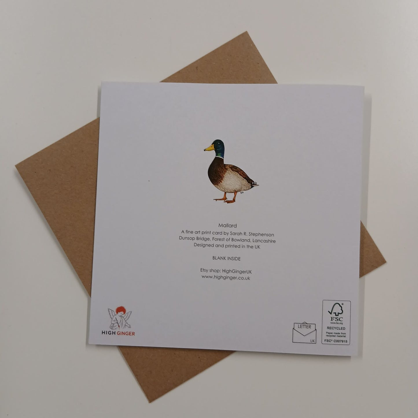 Mallard Duck Greeting Card - High Ginger