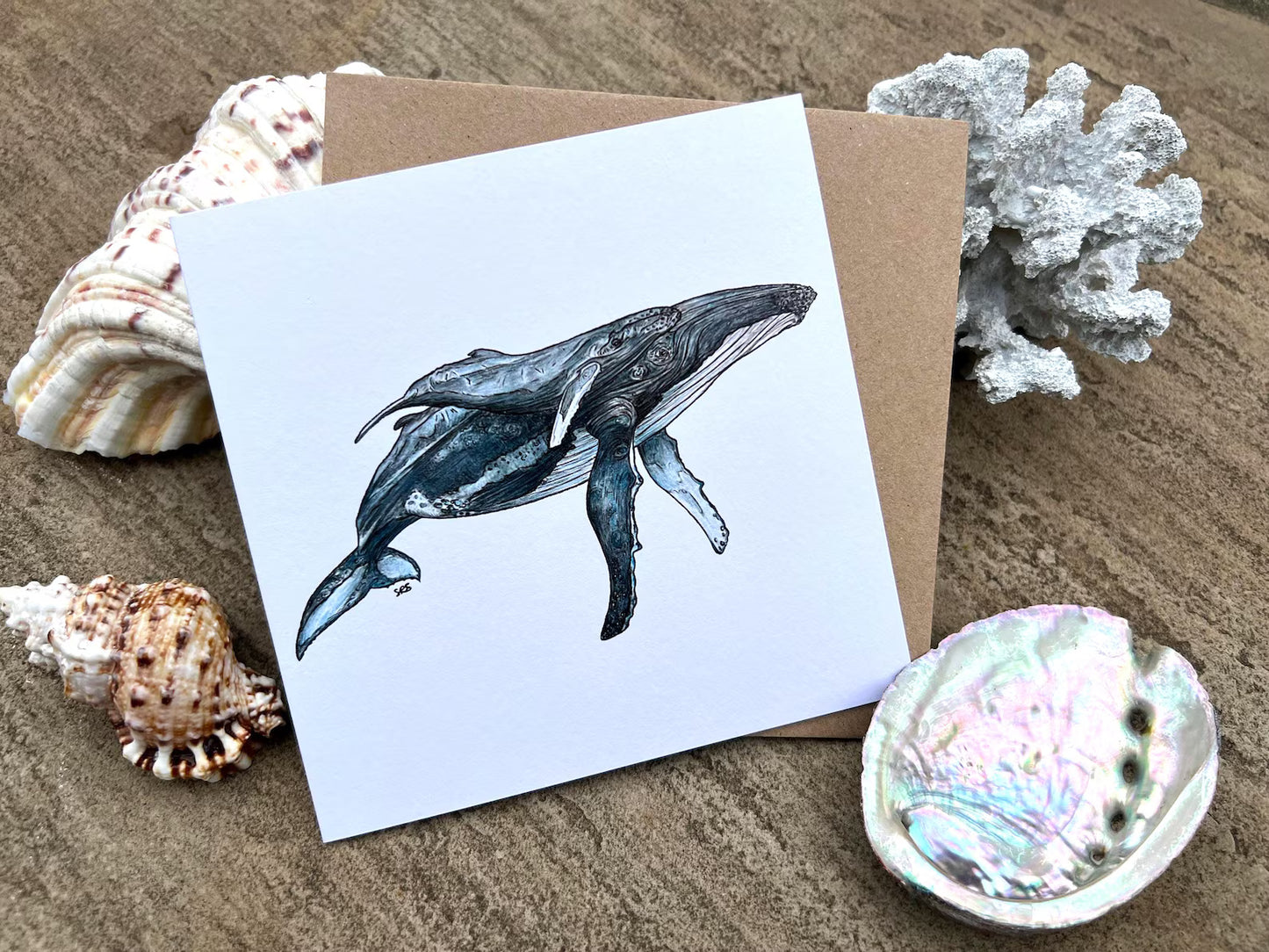 Humpback Whale Greeting Card - High Ginger