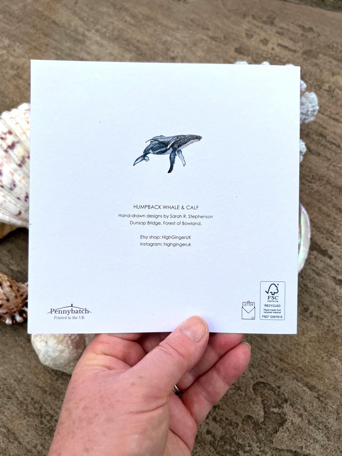 Humpback Whale Greeting Card - High Ginger