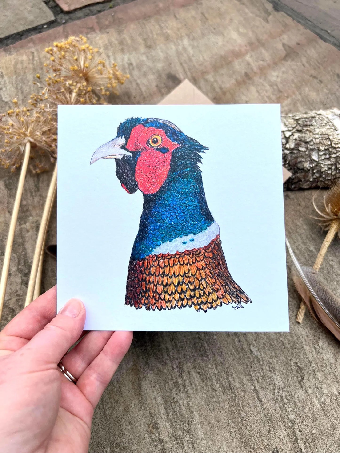 Pheasant Greeting Card - High Ginger