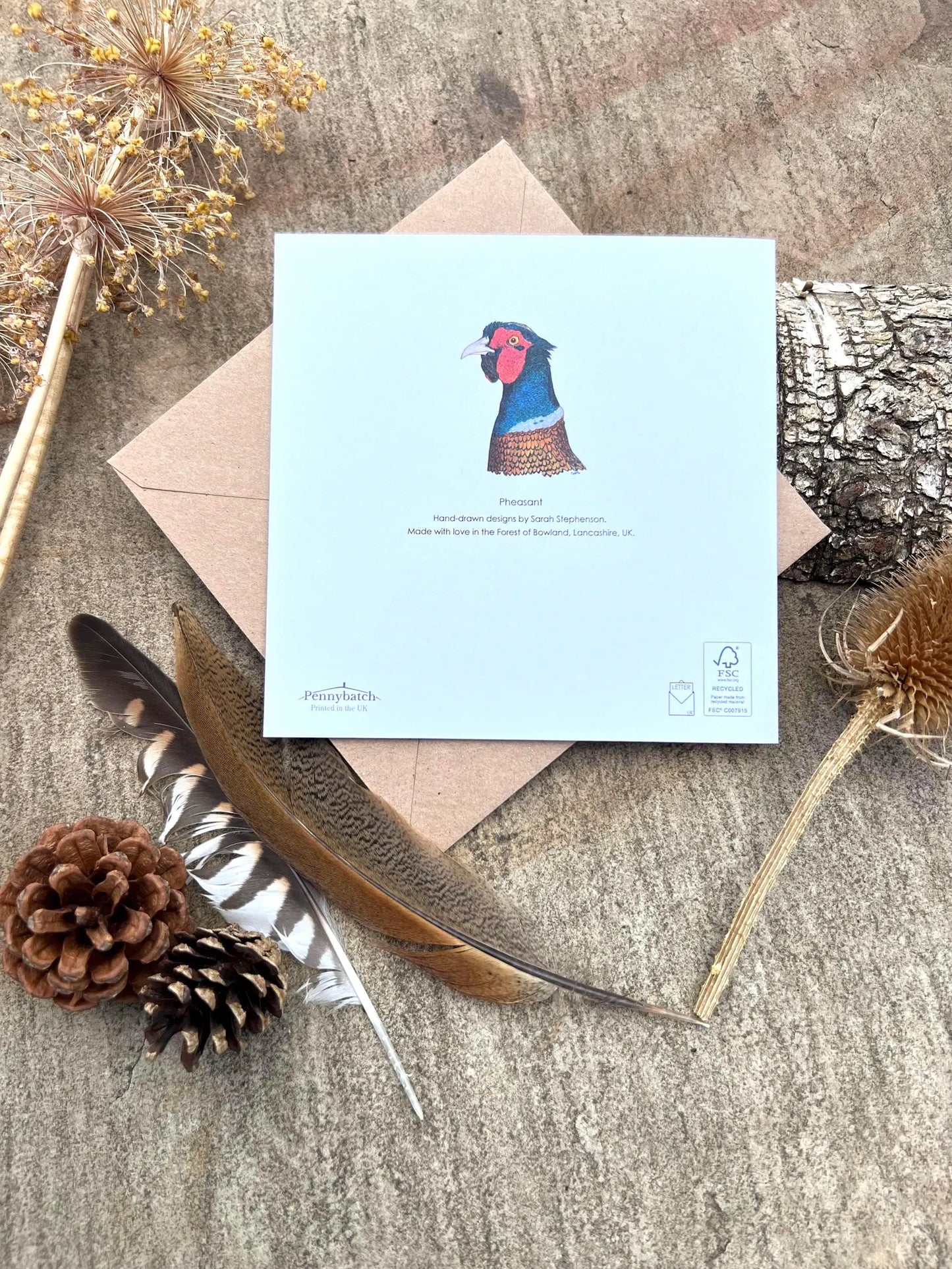 Pheasant Greeting Card - High Ginger
