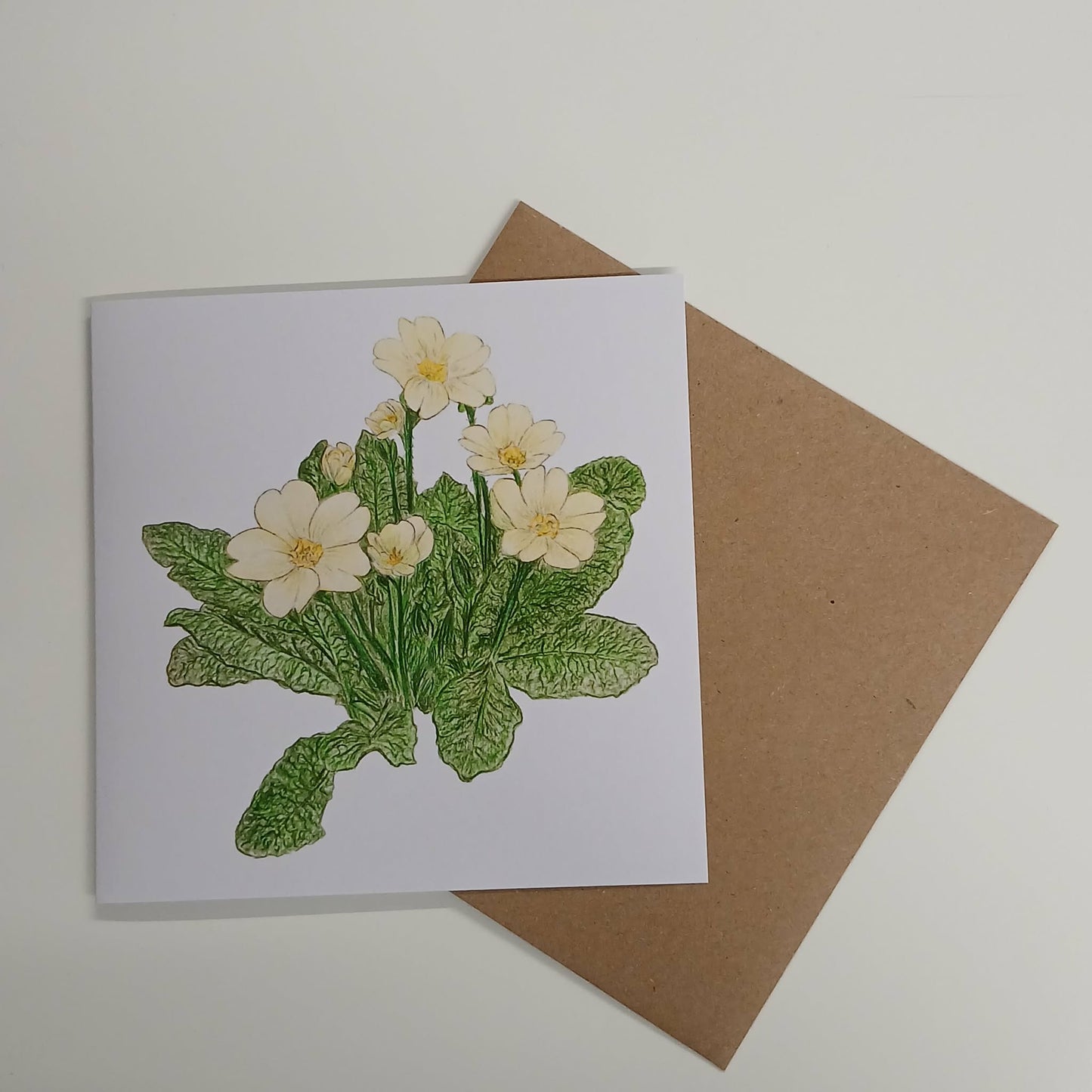 Primrose Greeting Card - High Ginger