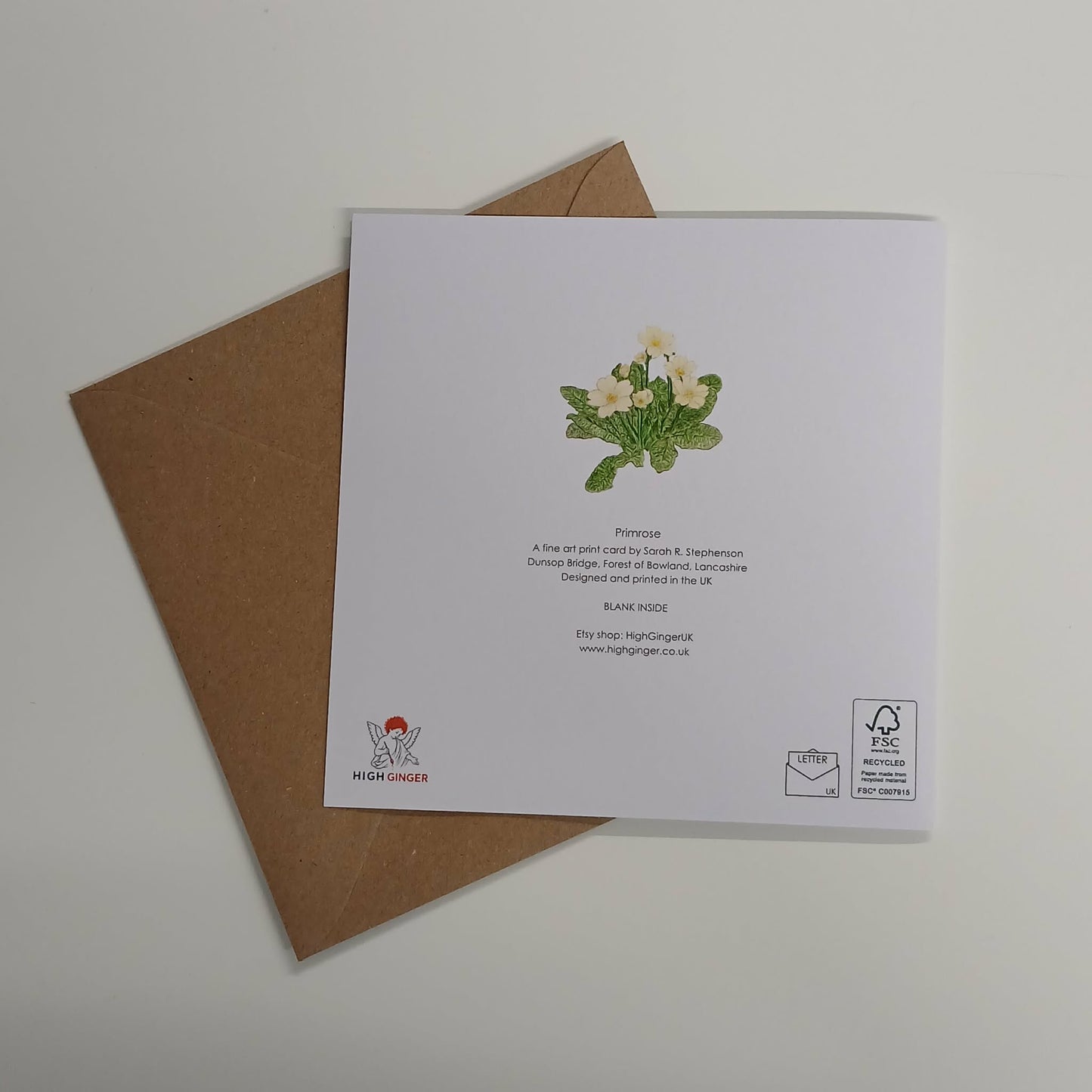 Primrose Greeting Card - High Ginger