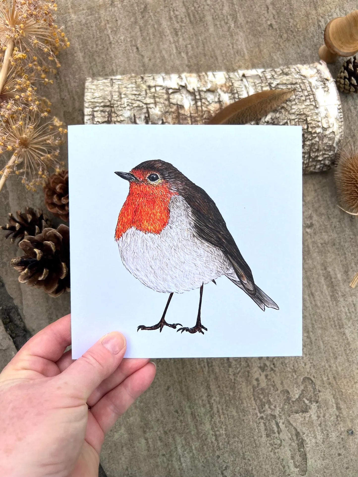 Robin Greeting Card - High Ginger