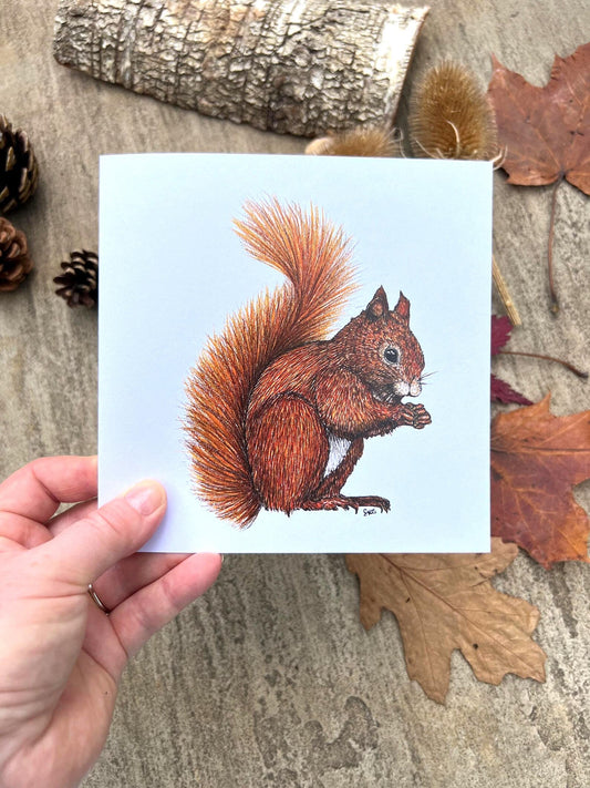 Red Squirrel Greeting Card - High Ginger