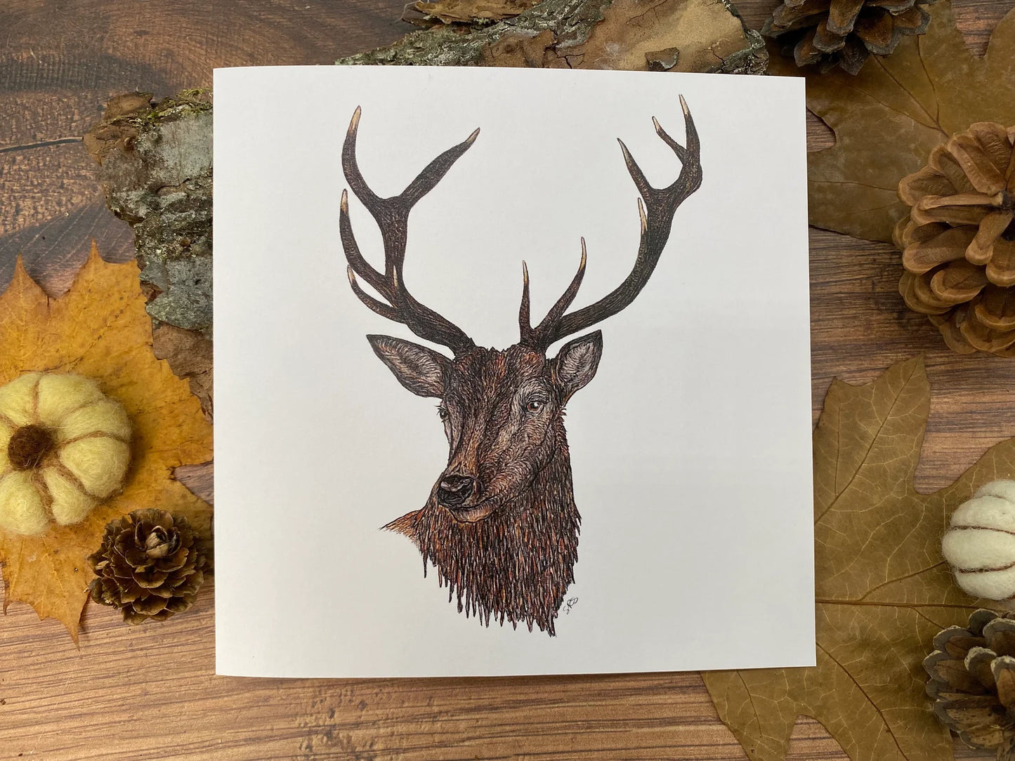 Stag Greeting Card - High Ginger