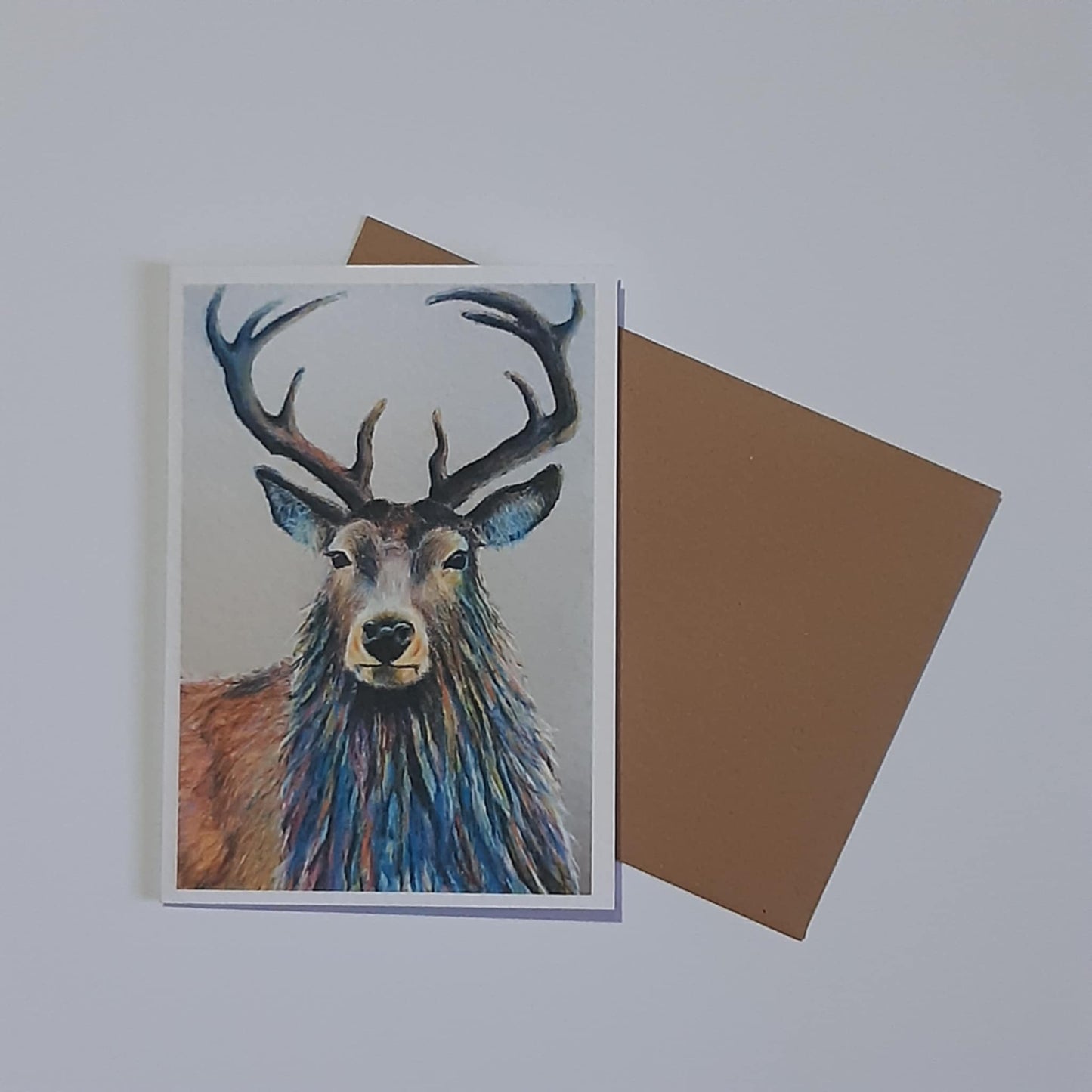 Animal Artwork Notecards Set of 5 Assorted Designs A6 Size