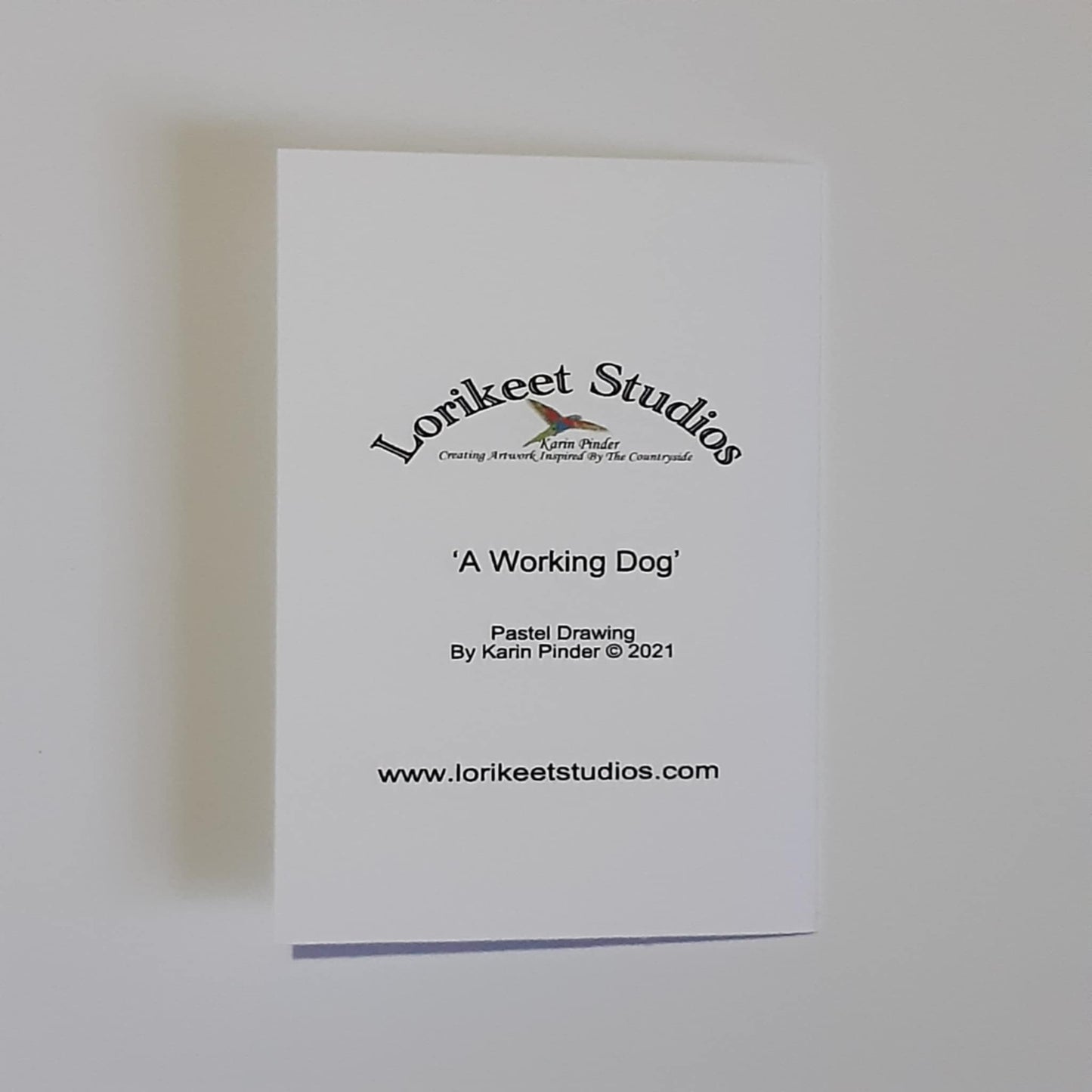 Animal Artwork Notecards Set of 5 Assorted Designs A6 Size