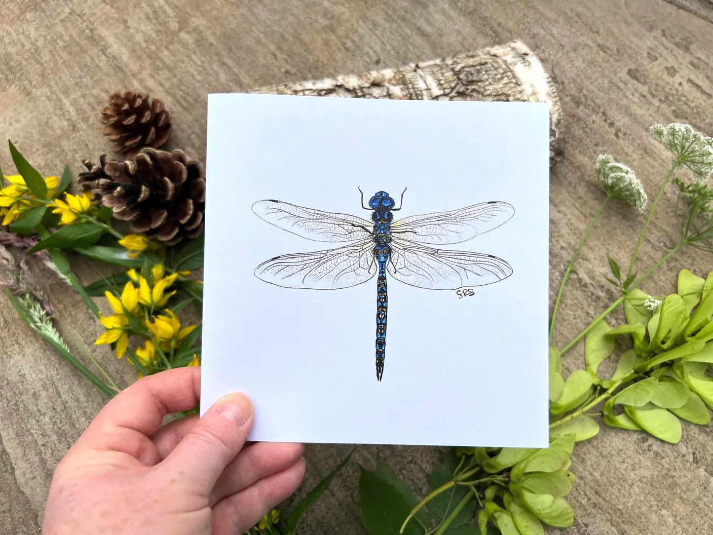 Dragon Fly Greeting Card - High Ginger